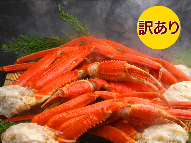 商品画像04サンプル